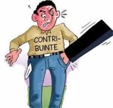 contribuente