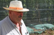 Lamberti da mezzadro ad imprenditore agricolo. Viaggio nell'agricoltura italiana 