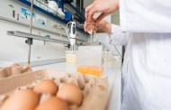 Uova contaminate da FIPRONIL A rischio tutta la Filiera Alimentare. Le Nazioni coinvolte salgono a 15