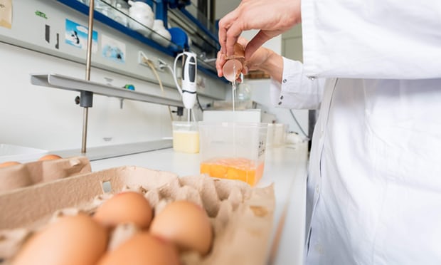 Uova contaminate da FIPRONIL A rischio tutta la Filiera Alimentare. Le Nazioni coinvolte salgono a 15