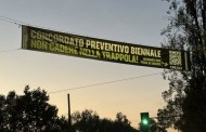 La risposta di FEDERCONTRIBUENTI a 