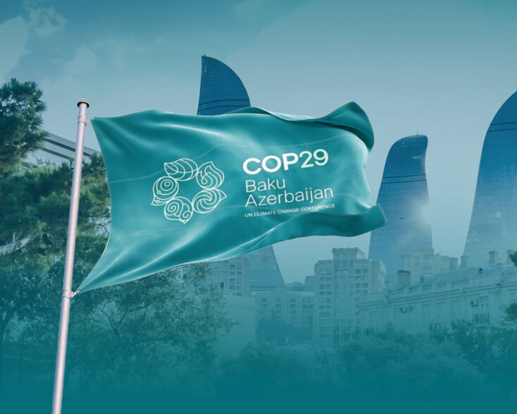 COP29: Nuove soluzioni per il clima globale