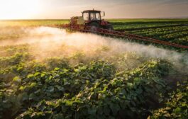 Mercosur: quando il libero scambio diventa libero pesticidio