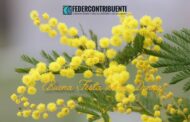 🌼 Festa della Donna – Il messaggio di Federcontribuenti