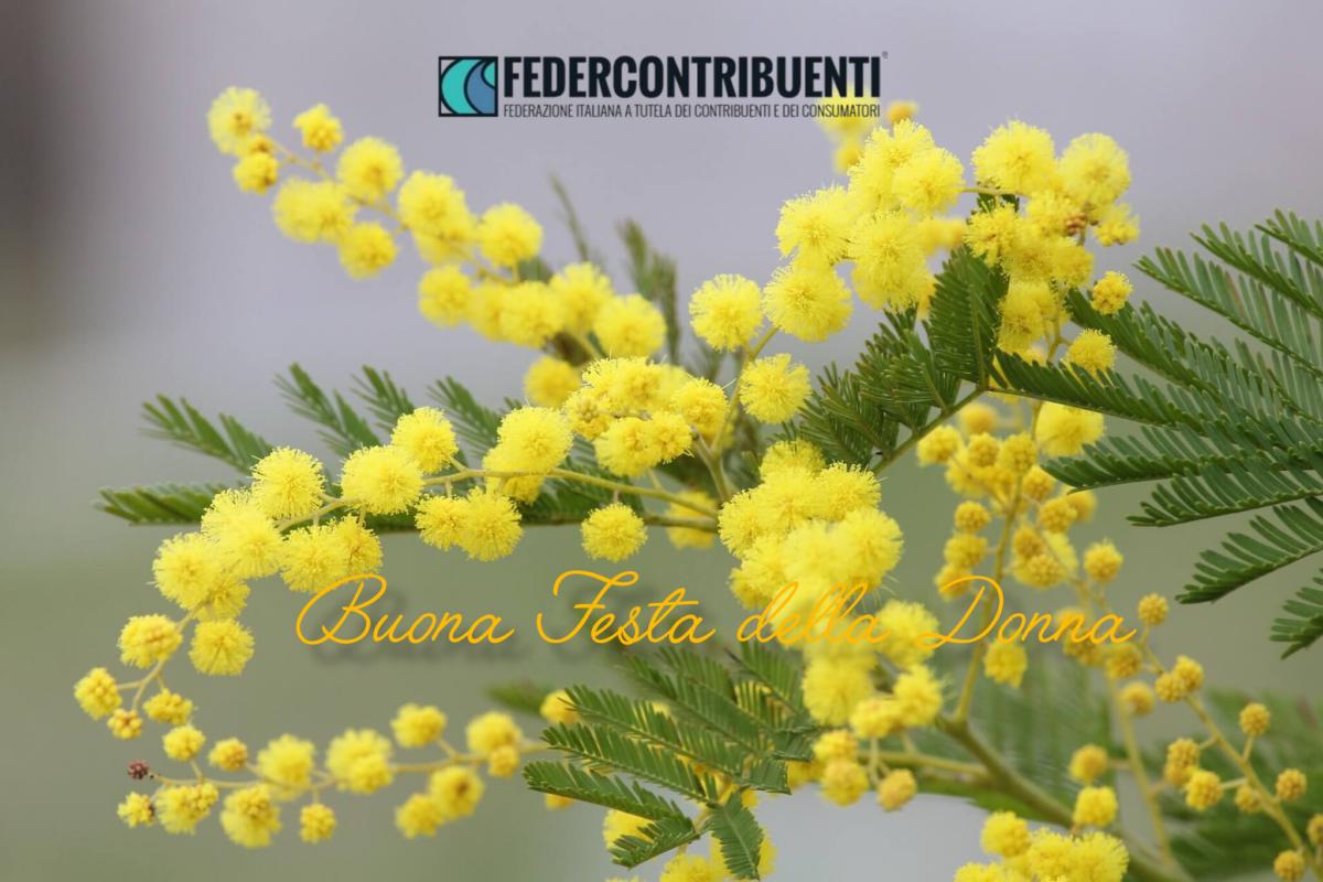 🌼 Festa della Donna – Il messaggio di Federcontribuenti