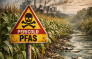 AMBIENTE: FEDERCONTRIBUENTI – PFAS IN AGRICOLTURA, “UNA BOMBA SANITARIA CHE L’ITALIA FA FINTA DI NON VEDERE”