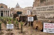 AMBIENTE, 70 MILA ALBERI PIANTATI, 30 MILA ABBATTUTI: ROMA È DAVVERO GREEN?