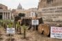 AMBIENTE, 70 MILA ALBERI PIANTATI, 30 MILA ABBATTUTI: ROMA È DAVVERO GREEN?